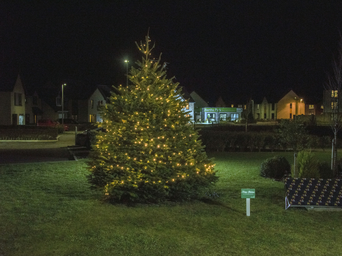 Bertha Park Christmas Tree