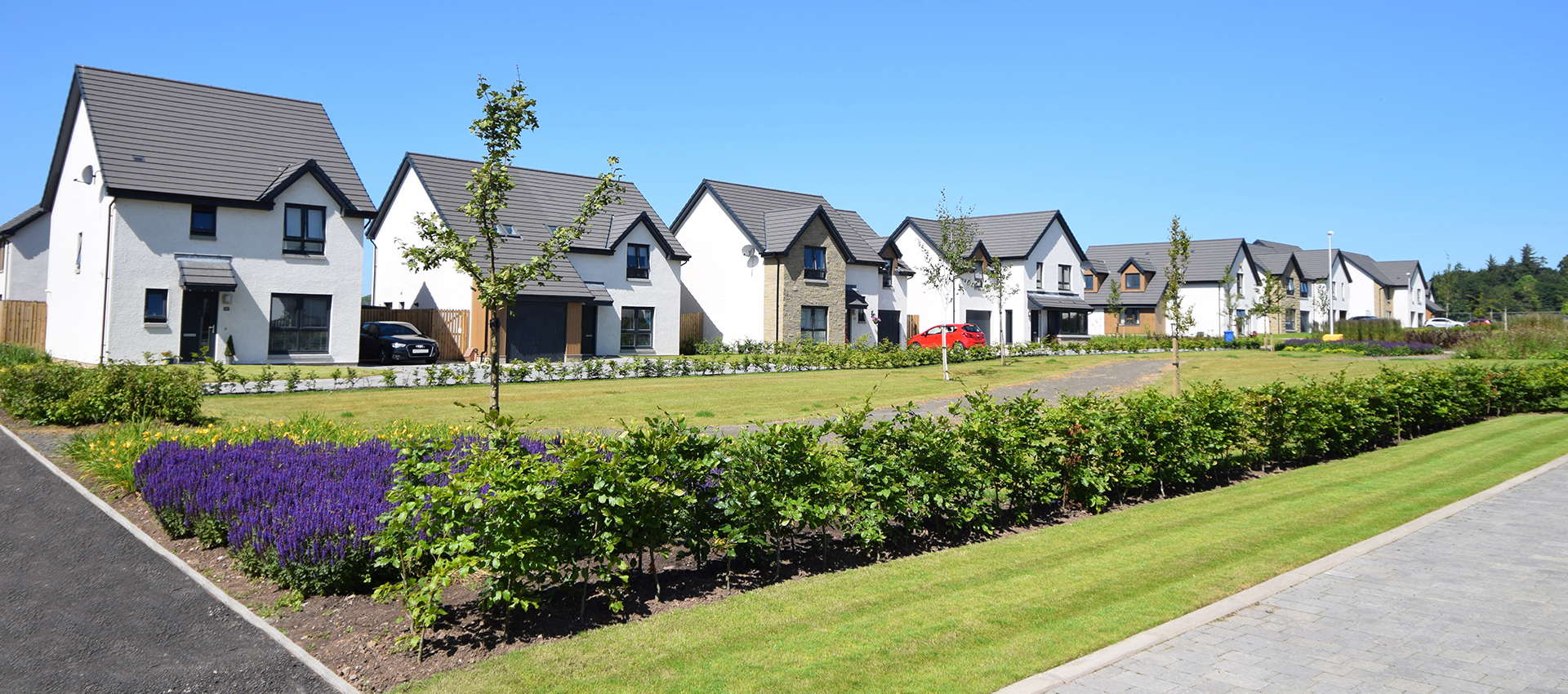 Springfield's Dykes of Gray development in Dundee