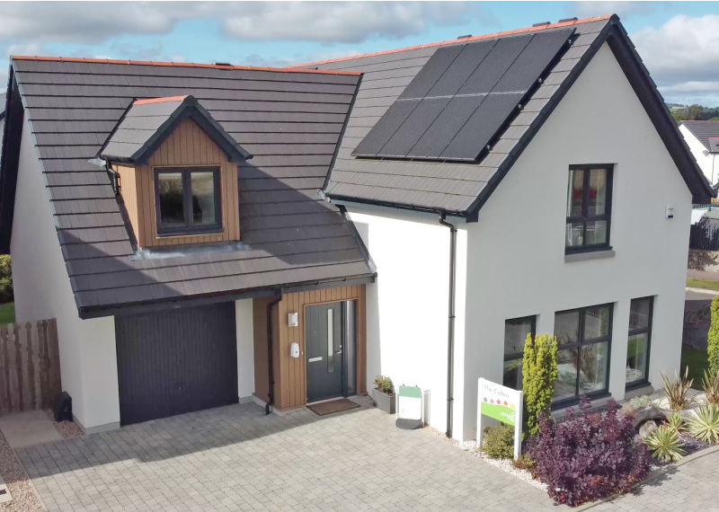 New Homes For Sale In Dundee Springfield Properties