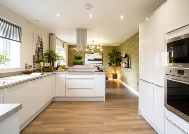 Integrated kitchen appliances (Dundee, Dykes of Gray)