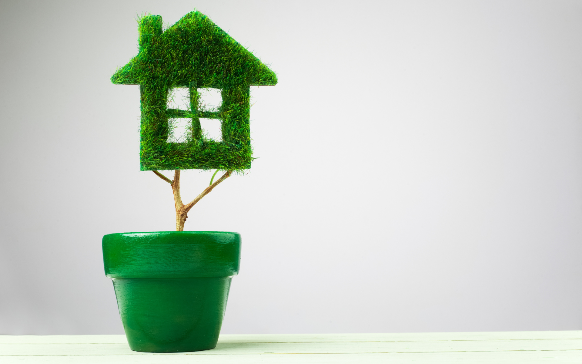Green mortgages - plant which has been pruned into the shape of a house sitting in a plant pot