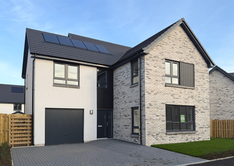 Kincraig plot 9036 IMG 4071