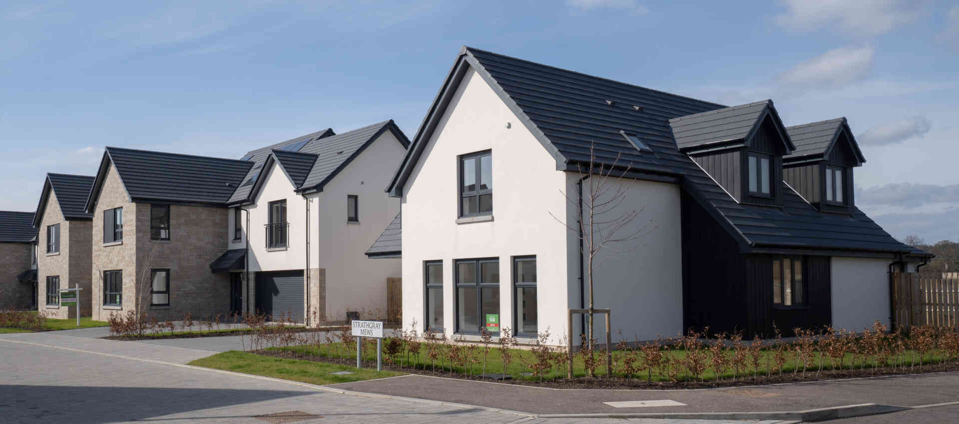 Stock plot street DSC00923