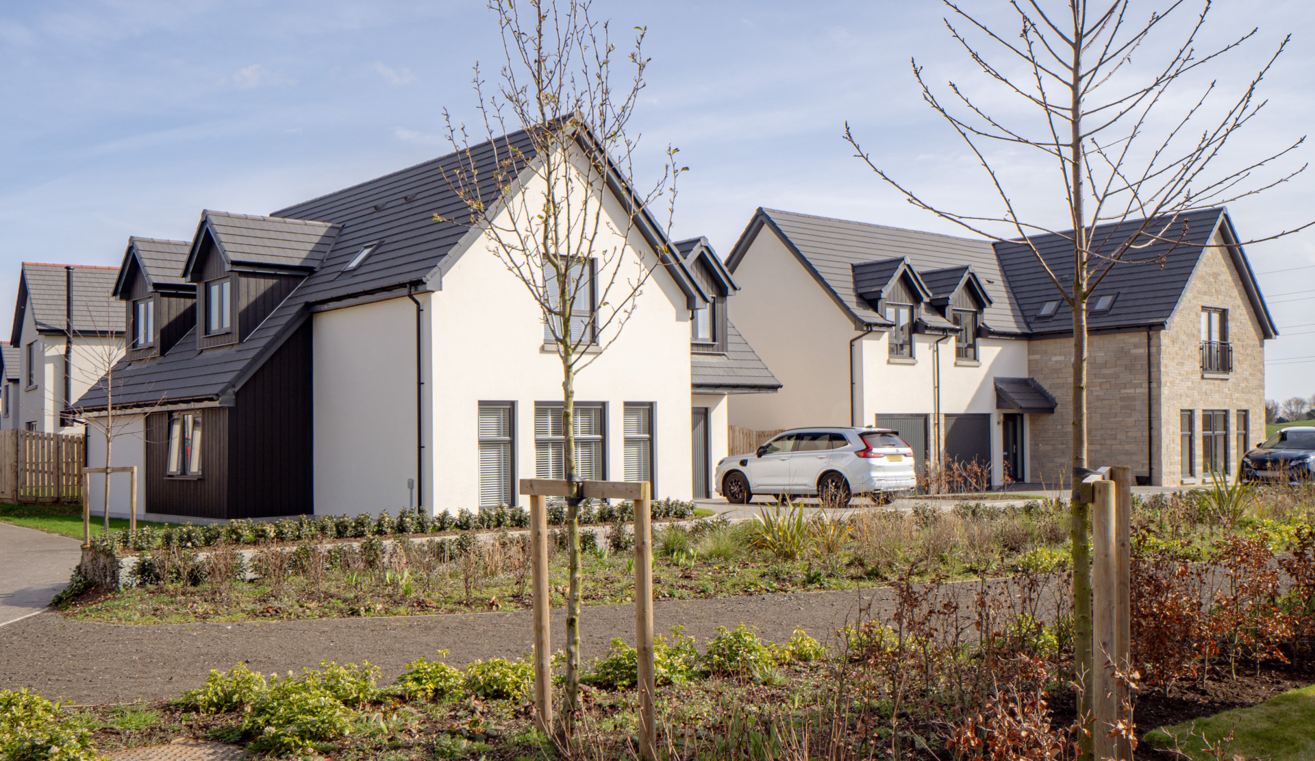 Street Scene C DSC00942