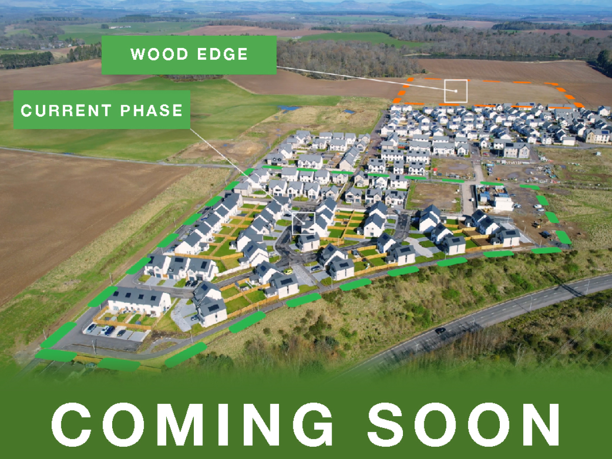 Wood Edge coming soon 3